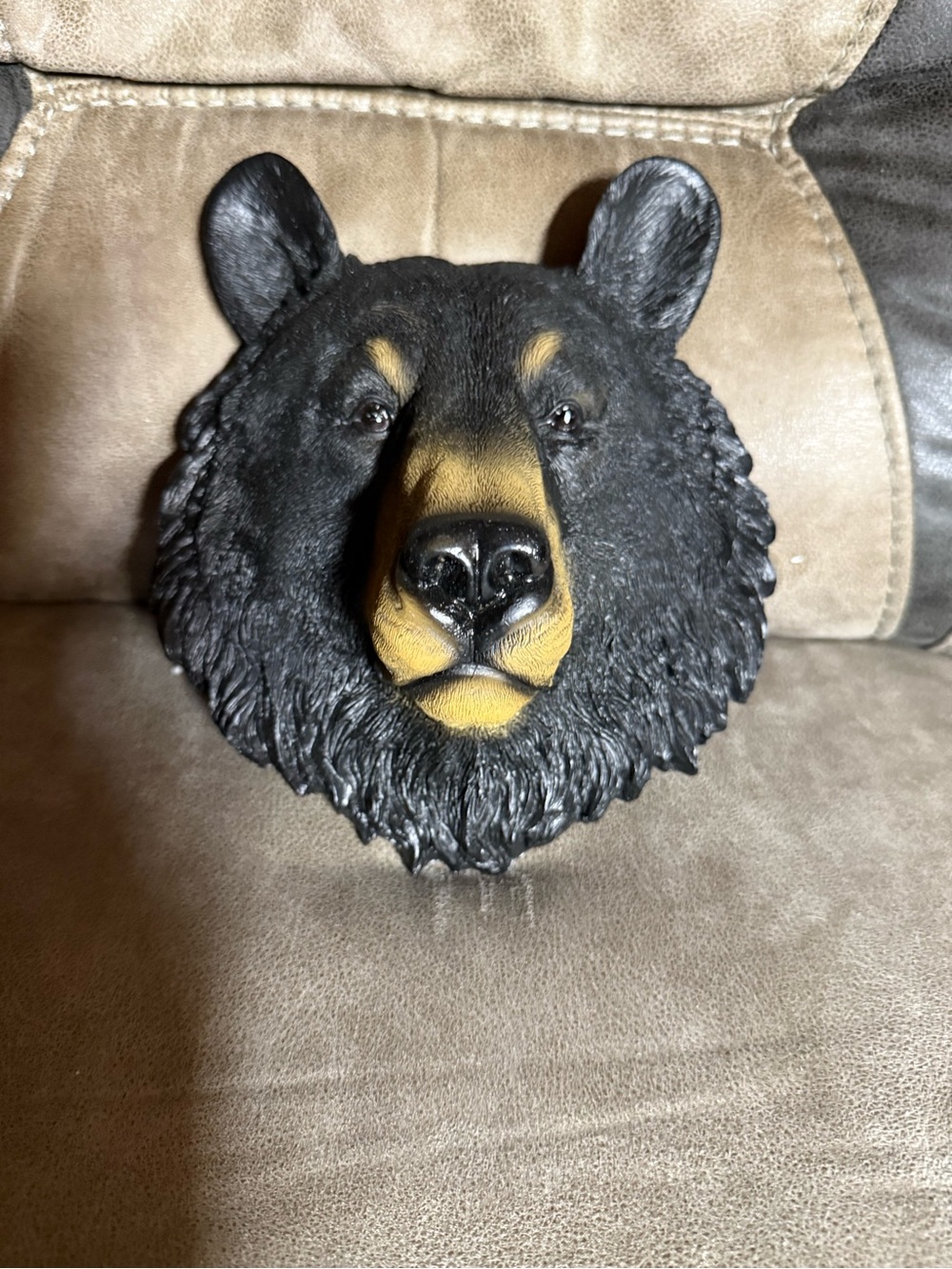 Decorative Black Bear Head Wall Accent - Black and Brown